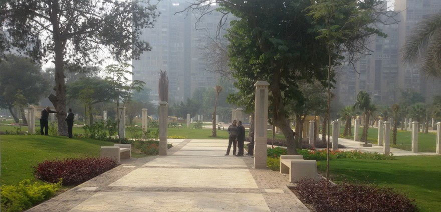 Picture29